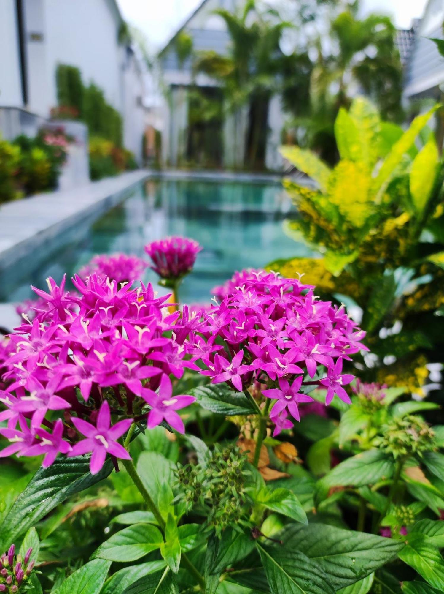 Ngoc Trai Xanh Bungalow Phu Quoc Luaran gambar