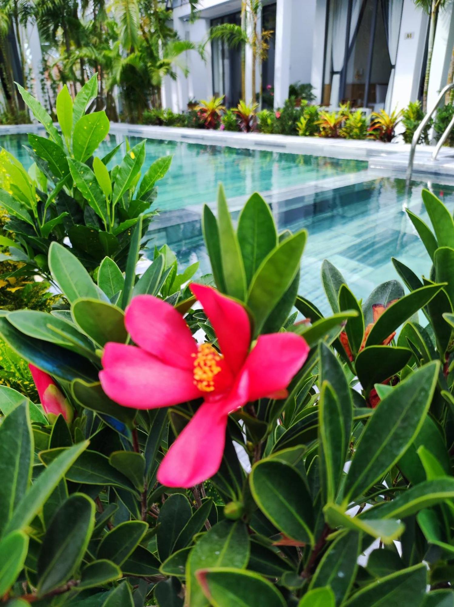 Ngoc Trai Xanh Bungalow Phu Quoc Luaran gambar
